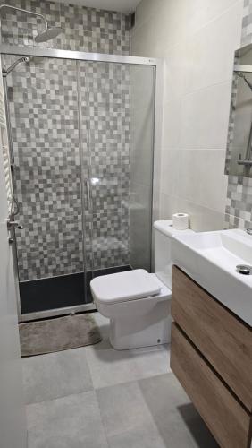 a bathroom with a shower and a toilet and a sink at Loft Casco Viejo 3 in Ourense