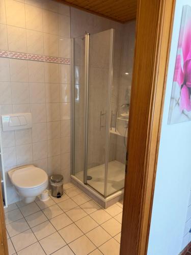 a bathroom with a shower and a toilet at Hof Wiesentau in Bösdorf