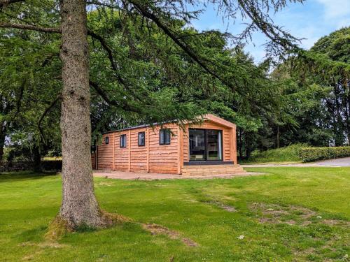 a small wooden cabin in a park with a tree at Willow Lodge in Ingleton
