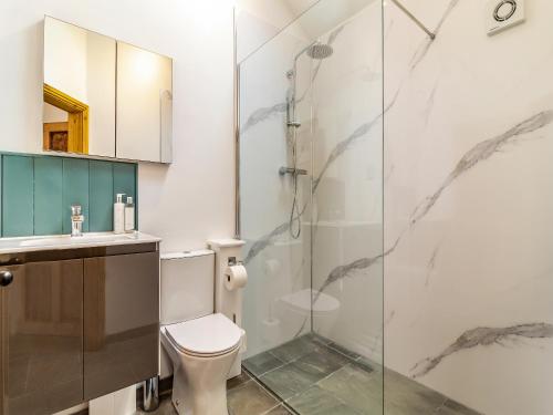 a bathroom with a shower and a toilet and a sink at Loch Farm Stables in Watton