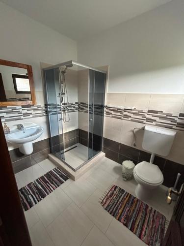 a bathroom with a shower and a toilet and a sink at Cacica Holiday in Cacica
