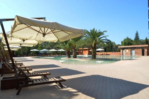 a group of chairs and umbrellas next to a swimming pool at Camping Campo dei Fiori - Glamping4all in Vada