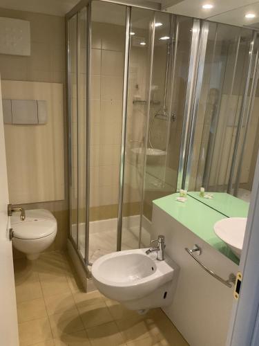 a bathroom with a toilet and a shower and a sink at Alpen Hotel Eghel Resort & SPA in Folgaria