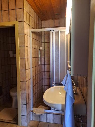 a bathroom with a sink and a shower and a toilet at Haus Bärnthaler in Faak am See