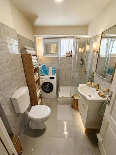 a bathroom with a toilet a sink and a washing machine at Teslić Apartman NiA in Teslić
