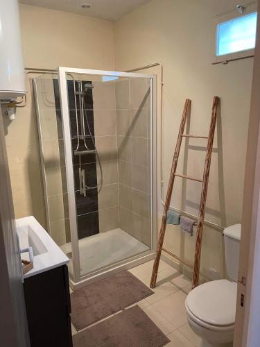 a shower stall in a bathroom with a toilet at La morvandelle in Limanton