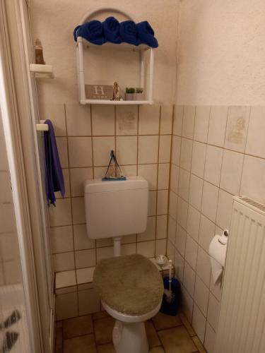 a small bathroom with a toilet with a green seat at Gerkenhof in Olsberg