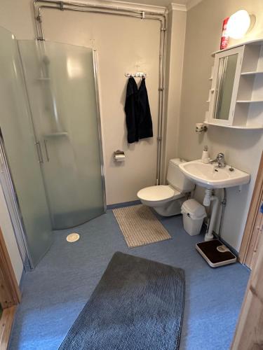 a bathroom with a shower and a toilet and a sink at Parkgatan in Vemdalen