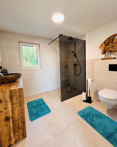 a bathroom with a toilet and a shower with blue rugs at Ferienwohnungen Soldanski in Loddin