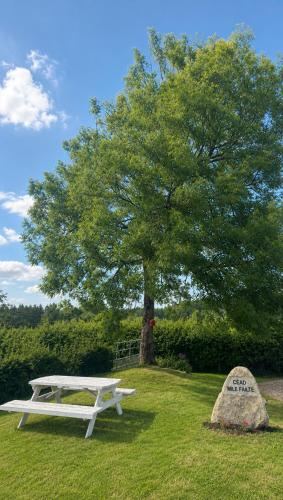 a white picnic table next to a tree and a rock at Birch Valley Accommodation Tinahely Wicklow in Killicreny Bridge