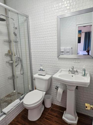 a bathroom with a toilet and a sink and a shower at Tim Pappies Nature Lodge - Alex's Place in Port Antonio