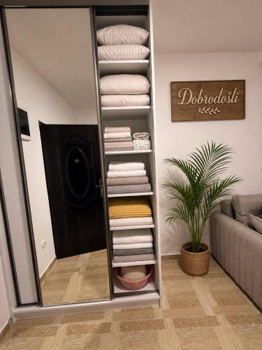 a mirror in a room with towels and a plant at Bo Apartment in Bečići