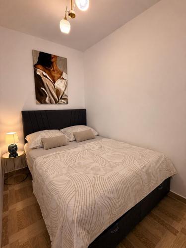 a bed in a bedroom with a painting on the wall at Bo Apartment in Bečići