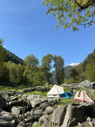 two tents in a field with rocks and trees at Green view group of houseboats in Srinagar
