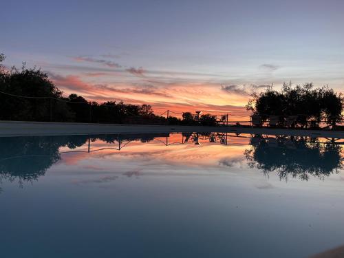 a reflection of a sunset in a pool of water at Terra dei Bisonti in Panicale
