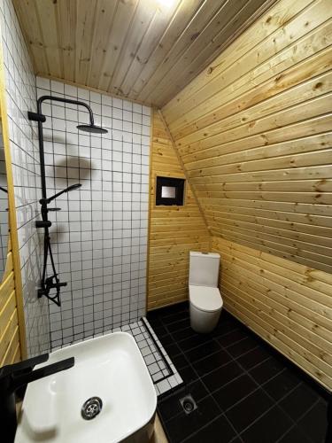 a bathroom with a toilet and a white sink at kesis chalet in Borjomi