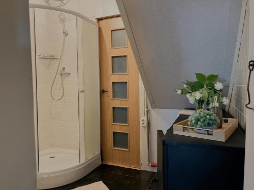 a bathroom with a shower and a walk in shower at Viesu nams Kātiņi in Energetikis