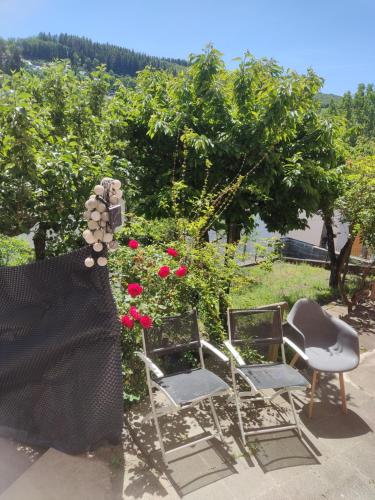a group of chairs and flowers on a patio at Chambre d'hôte à Wiltz in Wiltz