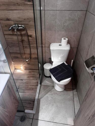 a bathroom with a shower and a toilet with a black seat at Smaragda's Studio in Kithnos