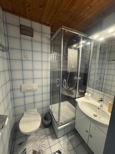 a bathroom with a shower and a toilet and a sink at Guesthouse Mother in Sielach