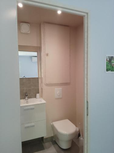 a bathroom with a toilet and a sink at le studio de la salamandre in Cadillac