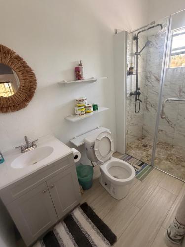 a bathroom with a toilet and a sink and a shower at Sunfusion apartment & Cottages in Saint Mary