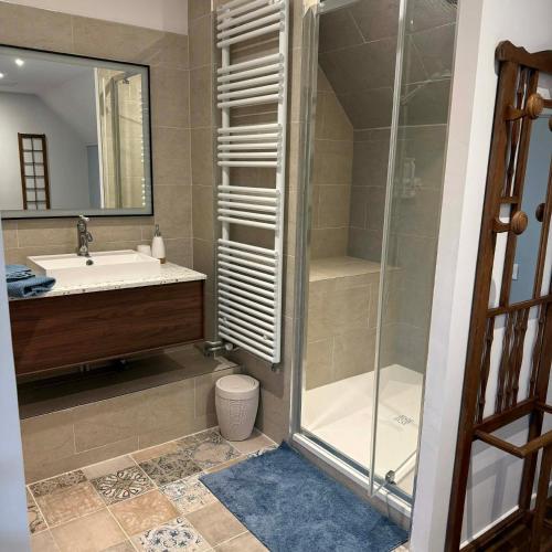 a bathroom with a shower and a sink at Maisons d'antan Giverny in Giverny