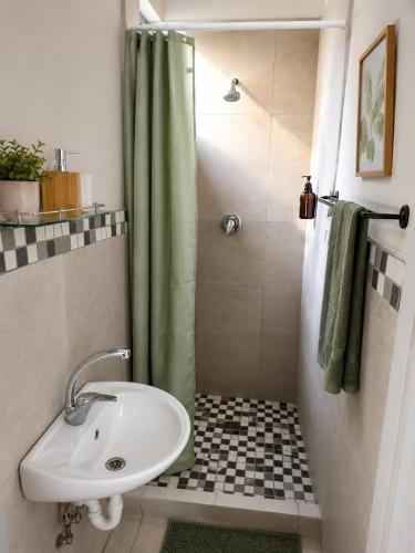 a bathroom with a sink and a shower at The Lion's Den in George