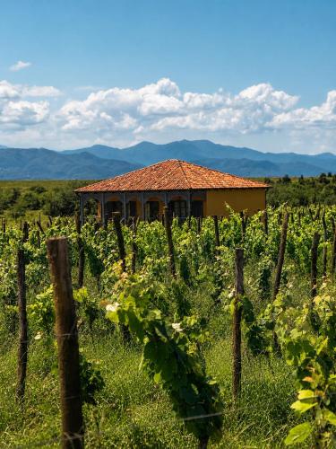 a building in the middle of a field of vines at Chateau Vartsikhe in Varts'ikhe
