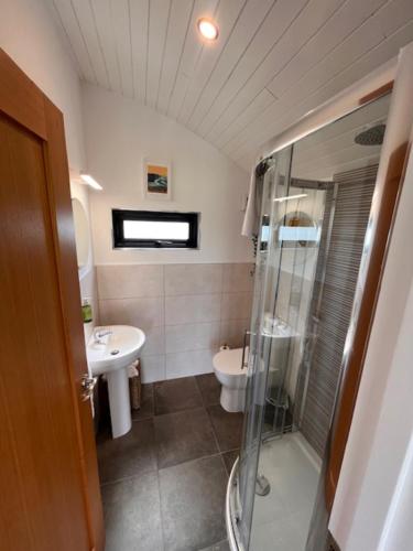 a bathroom with a shower and a sink and a toilet at Castledarcy Glamping in Lahinch