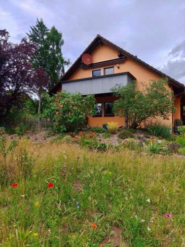 a house on a hill with a field of flowers at Ferienwohnung am Keltenwall in Jestetten