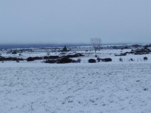 a field covered in snow with a tree in the distance at Casas de la Fuente in Brieva