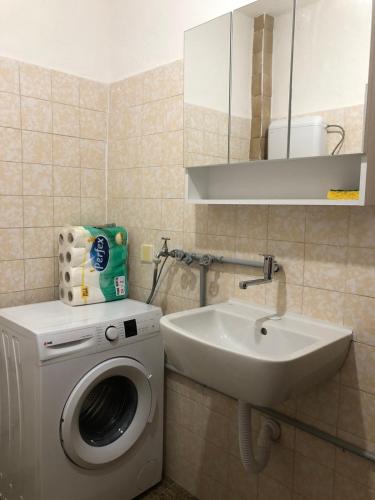 a bathroom with a washing machine and a sink at Smještaj Klekovača in Drvar