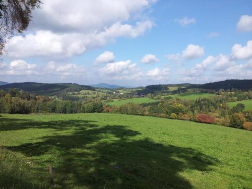 a large green field with trees in the distance at ČS Robin Oil Kašperské Hory in Kašperské Hory