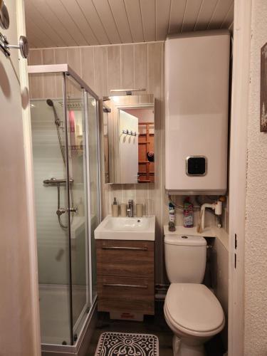 a small bathroom with a toilet and a shower at Charmant Studio La Toussuire in La Toussuire