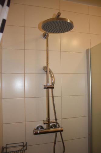 a shower with a shower head in a bathroom at Pension Kirchenwirt in Niederaichbach