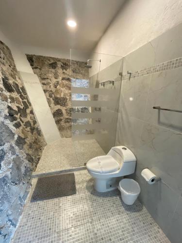 a white bathroom with a toilet and a shower at Loft with Pool, Gym & A/C Suite in Querétaro