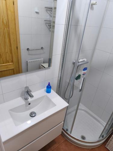 a bathroom with a shower and a sink at Casa Tia Nieves in Ruiloba