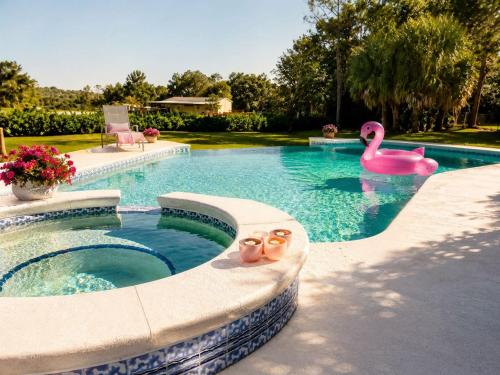 a swimming pool with a pink swan and two pink shoes at SWISS 42 - Golf Course in Clermont
