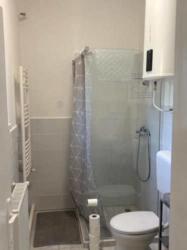 a bathroom with a shower and a toilet at Haromfa Apartman in Háromfa