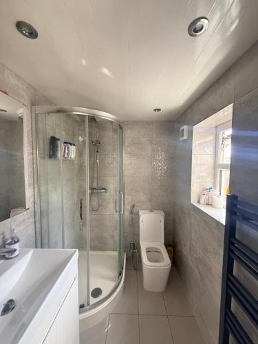 a bathroom with a shower and a toilet and a sink at Dream easy in Birmingham