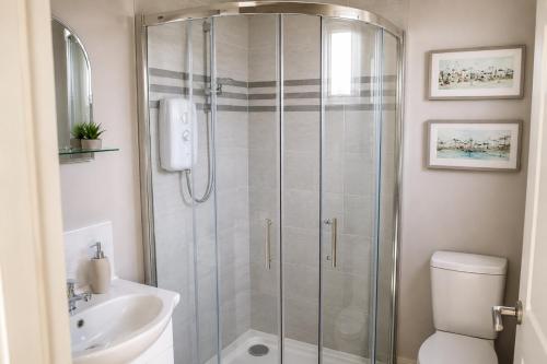 a bathroom with a shower and a toilet and a sink at Dunmore East Ocean View Suite in Dunmore East
