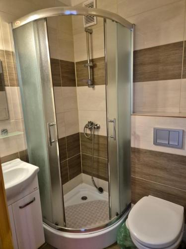 a bathroom with a shower with a toilet and a sink at Dom pod lipą in Łeba