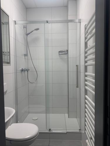 a bathroom with a shower with a toilet and a sink at Hansa Pension 2 Hamburg - Ruhige Zimmer mit Gemeinschaftsküche in Hamburg