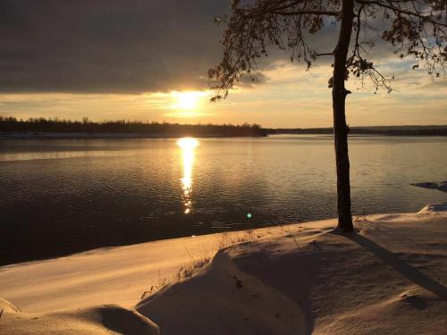 a sunset over a body of water with a tree at Park-Hotel Tihiy Les in Prokhorovka