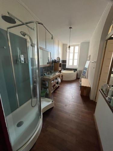 a bathroom with a shower and a sink at La maison aux volets bleus in Laval