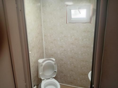 a bathroom with a toilet and a window at borjomi downtown in Borjomi
