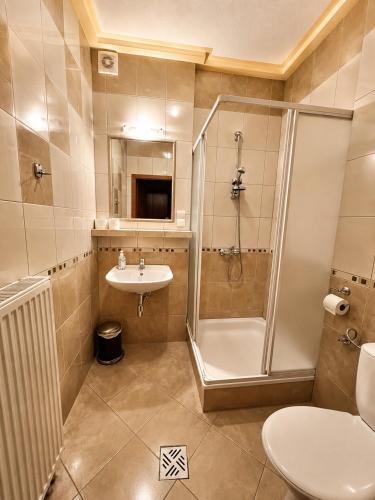 a bathroom with a shower toilet and a sink at Zajazd Alicja in Nowe Bagienice