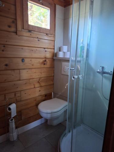 a bathroom with a toilet and a glass shower at Oase van rust in Poortvliet