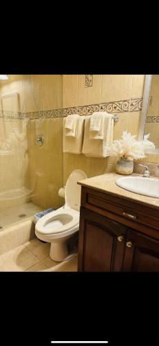 a bathroom with a toilet and a shower and a sink at Ocean View Serenity in Cupecoy
